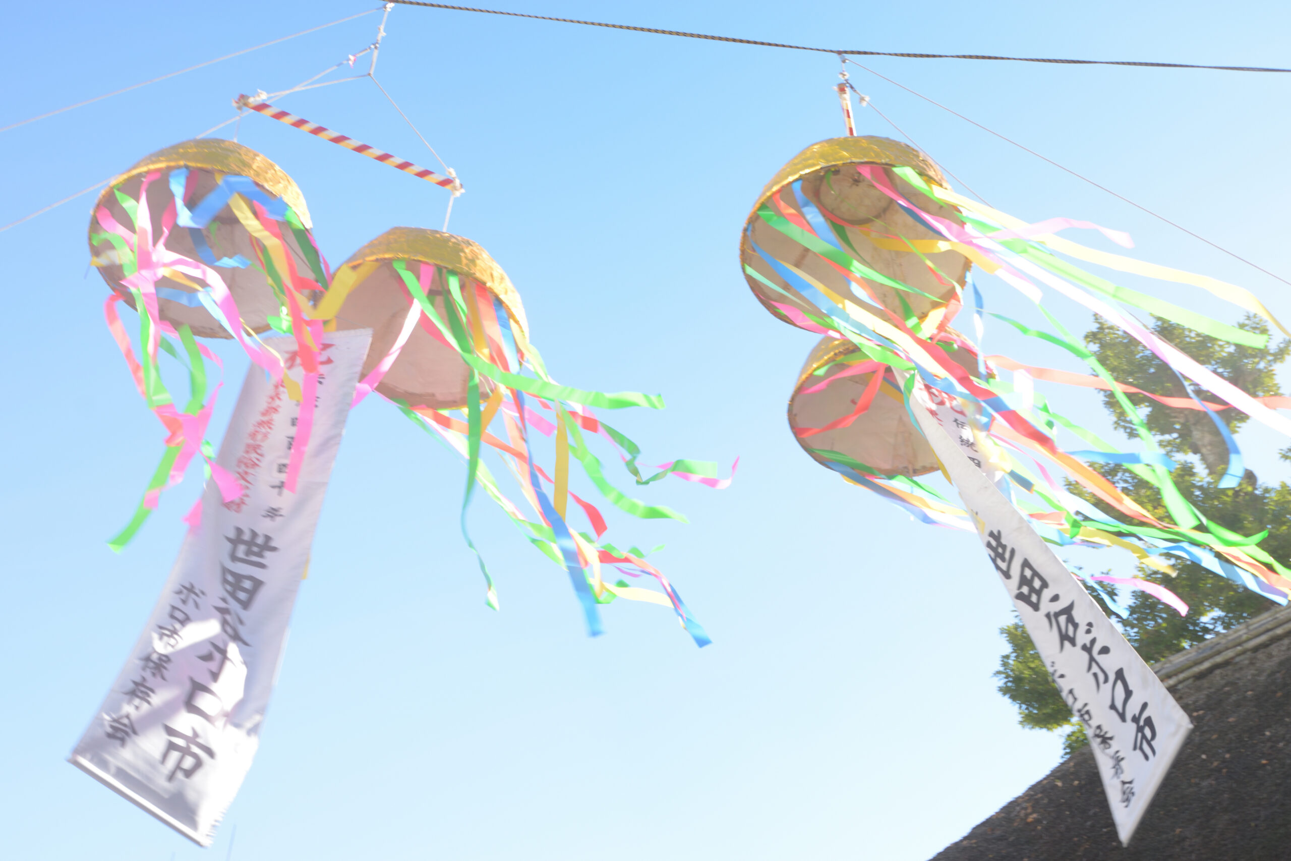 「世田谷のボロ市」完全ガイド |2025-2026年版