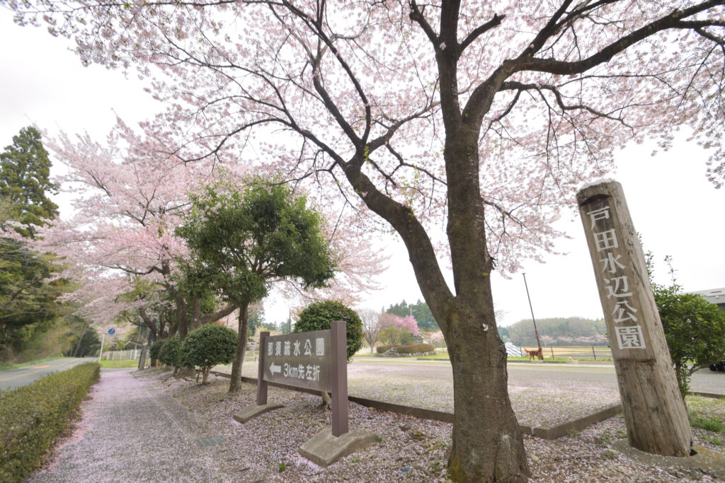 photo by サラリーマン日乗