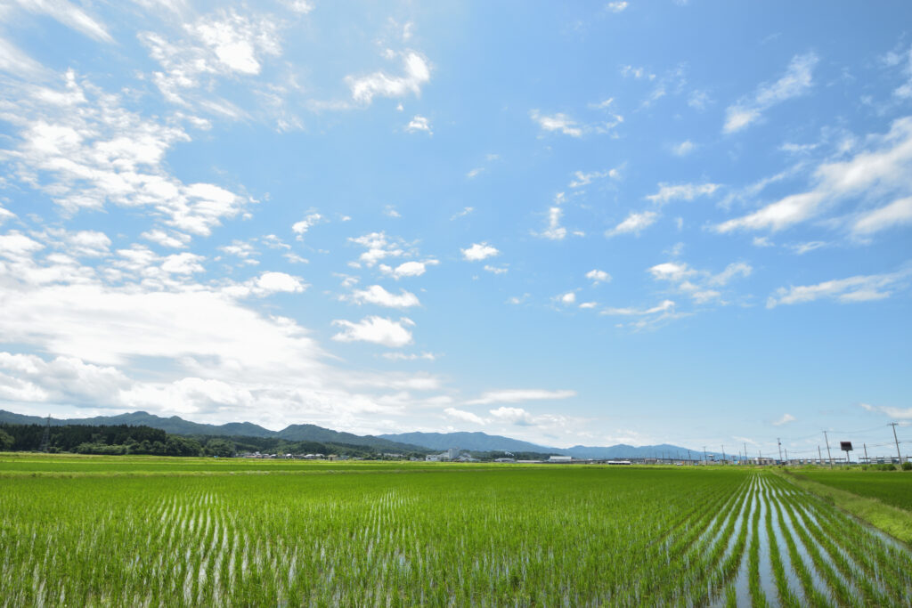 村上の田園風景 photo by サラリーマン日乗
