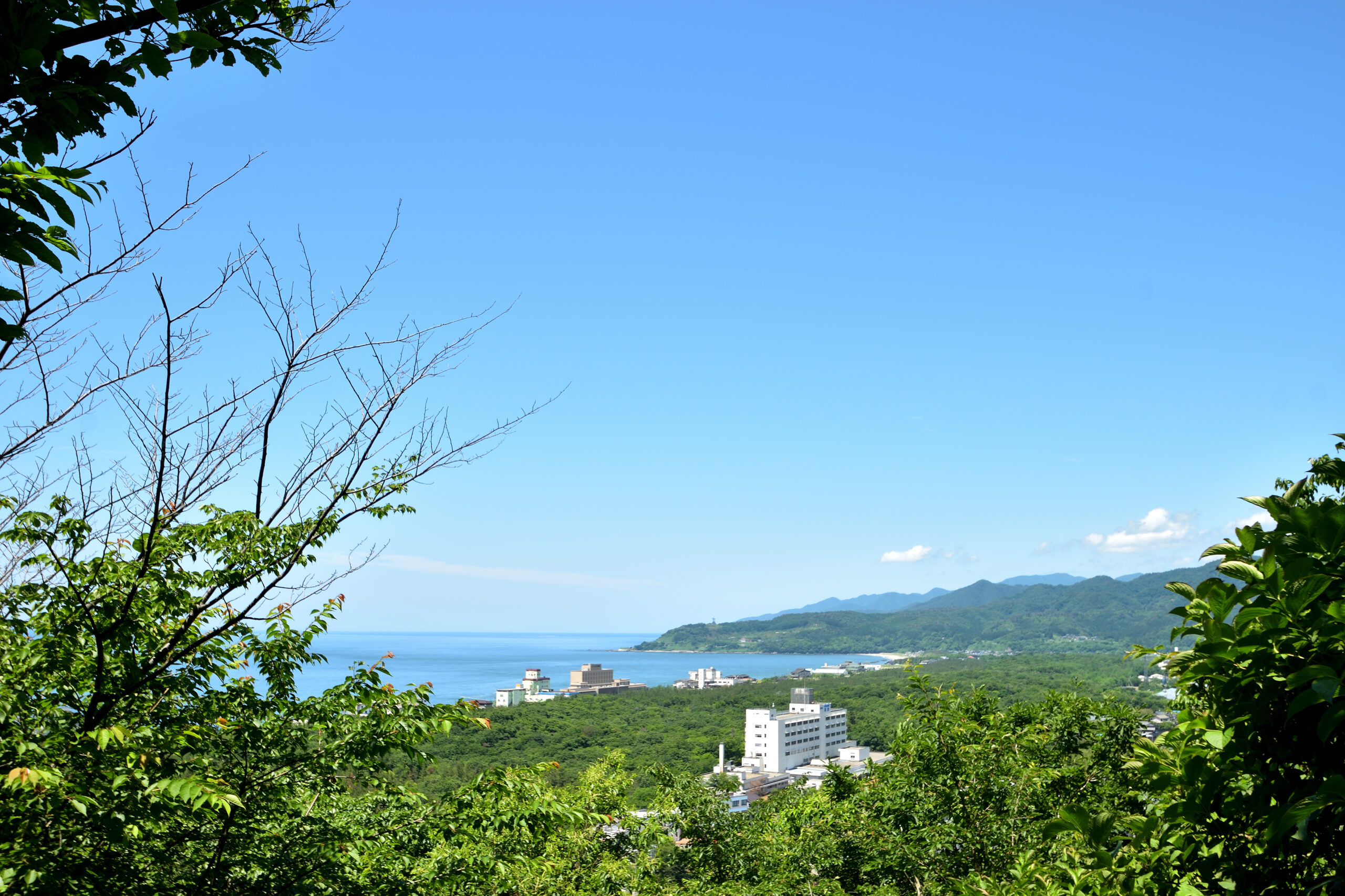 至高の新潟・村上旅行記2日目〜瀬波温泉はぎのや朝食バイキング＆観光編〜